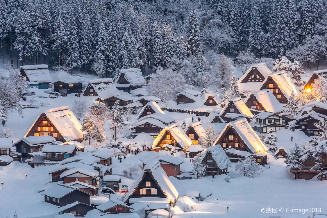 Hotels near Shirakawa-go
