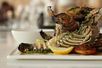 The Ternary on Darling Harbour