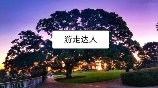 夜遊Kings Park ，澳大利亞旅遊，日落時分， 就是這