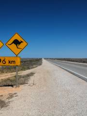 Nullarbor National Park