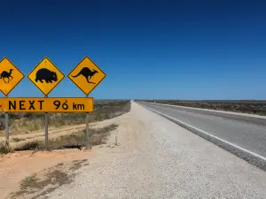 Nullarbor National Park