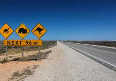 Nullarbor National Park