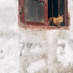 人人小食店張用戶圖片