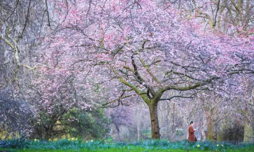 St James’s Park