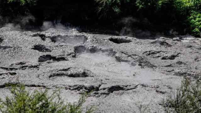 New Zealand Rotorua + Te Puia Maori Cultural Village one-day tour