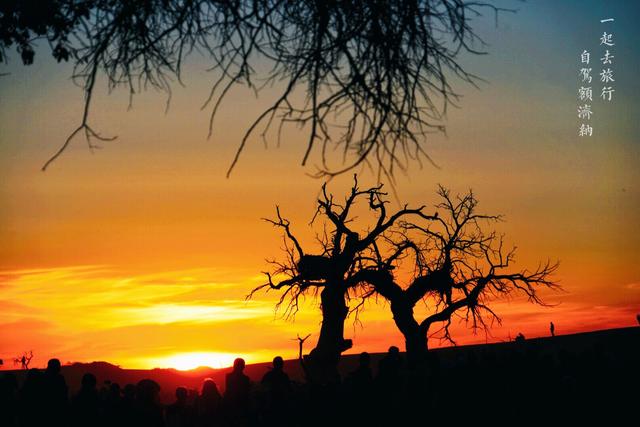 2026 Gonghe Travel Guide: must-see attractions, popular food, hotels, transport & travel experiences (updated in January)