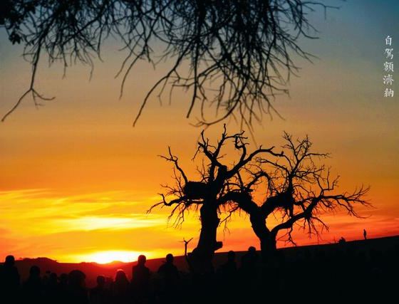 共和 自由行套票