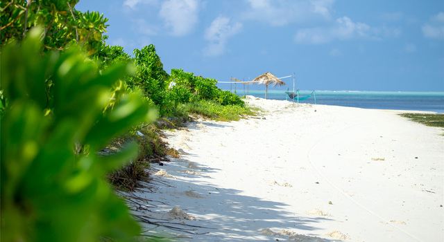Vaadhoo