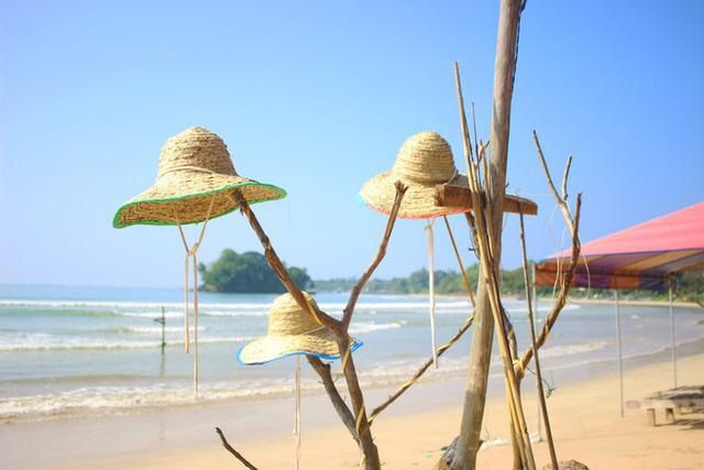 travel
