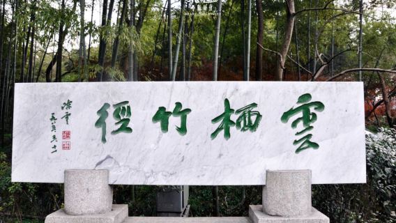 Half-Day Hangzhou Yunxi Bamboo Forest and Tea Plantation Experience