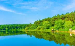 Must-see Attractions