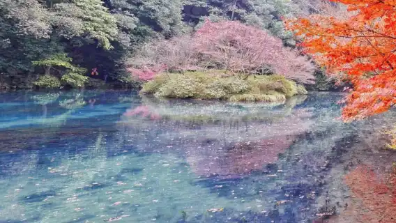 Hangzhou Nine Creeks half-day hiking tour [Nine Creeks and Eighteen Gullies fan painting + Longjing tea tasting + Eighteen Imperial Tea Trees]