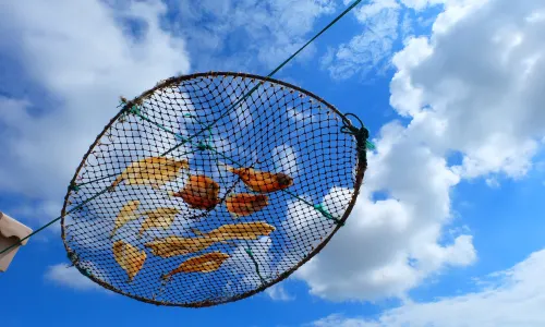 Zhoushan Sea Fishing