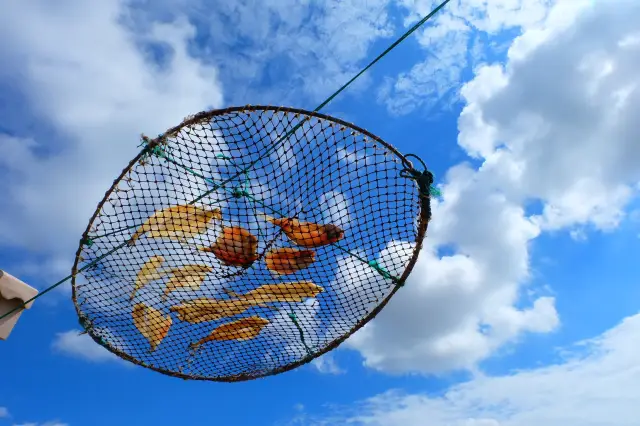 Zhoushan Sea Fishing