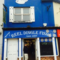 Reel Dingle Fish 여행 사진