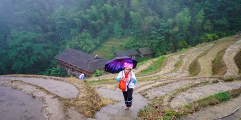 桂林龍脊梯田獨立包團:探索壯麗梯田風光