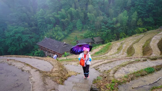 Private Tour to Longji Terraced Fields: Explore the Scenic Rice Terraces in Guilin