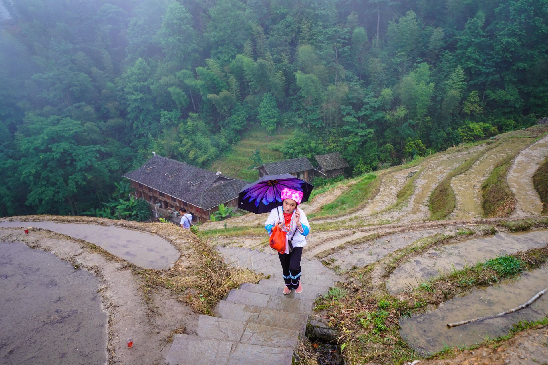 Private Tour to Longji Terraced Fields: Explore the Scenic Rice Terraces in Guilin