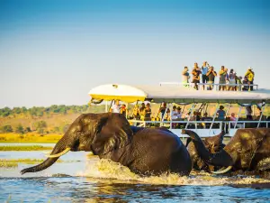 Parco nazionale del Chobe