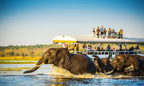 Chobe National Park