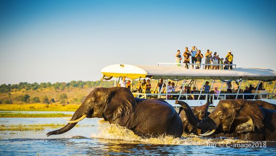 Parc national de Chobe