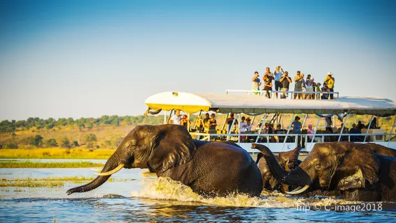 Chobe National Park