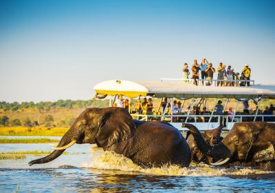 Chobe National Park