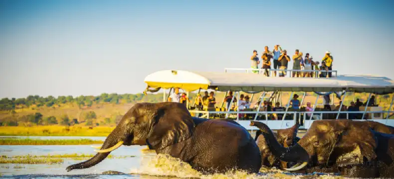 Hotels in Chobe