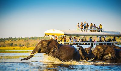 Chobe National Park