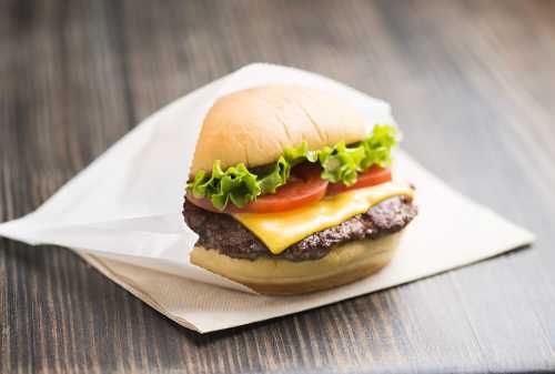 Shake Shack Madison Square Park
