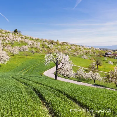 Berne to Bristol Flights