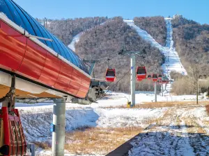 亞布力廣電國際滑雪場