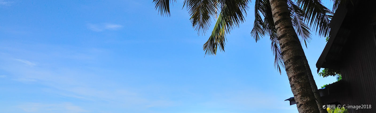 travel