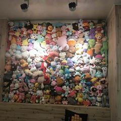 梧桐树咖啡(伊山北路店) User Photo