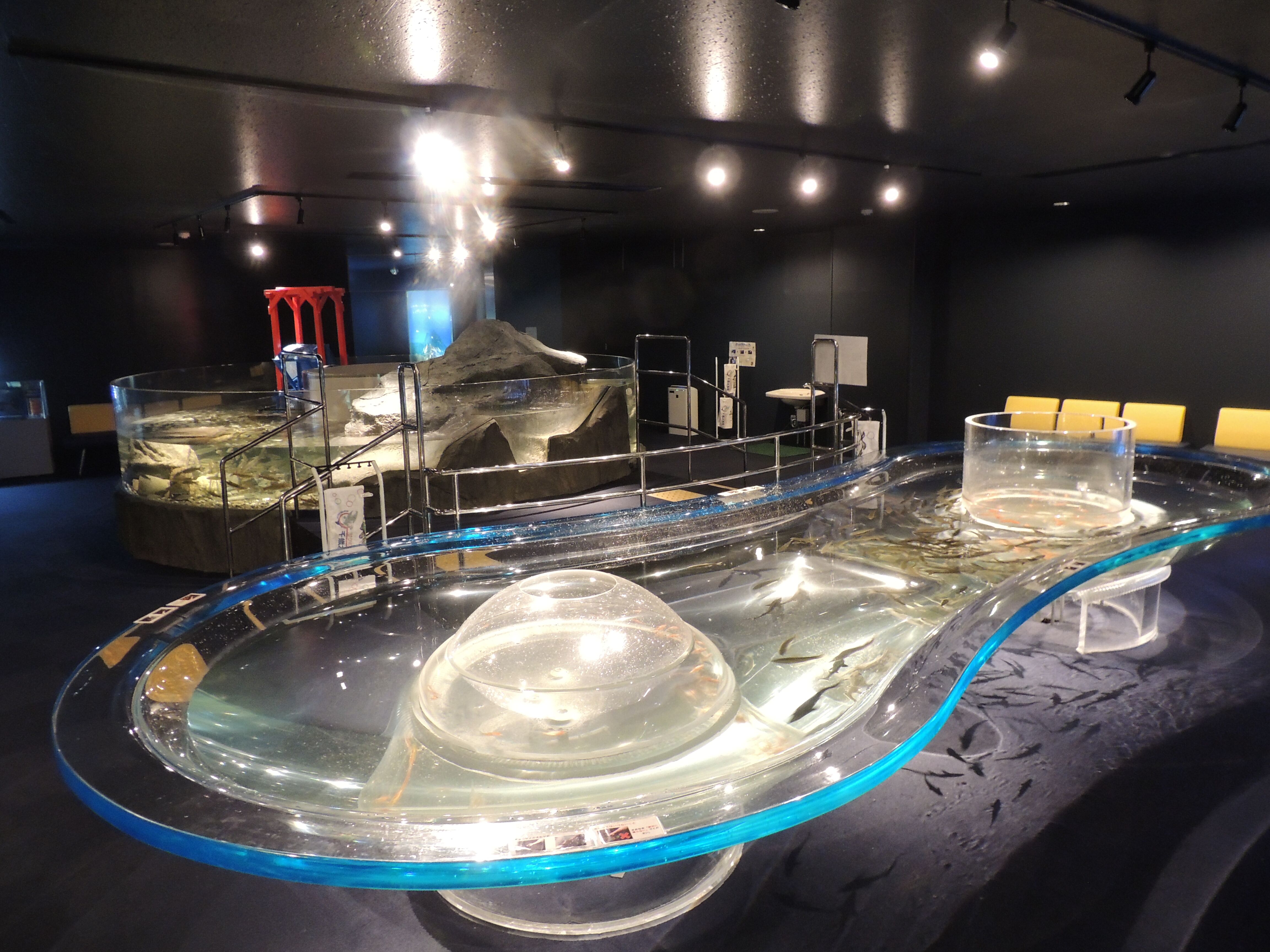 Chitose Salmon Aquarium Admission E-Ticket