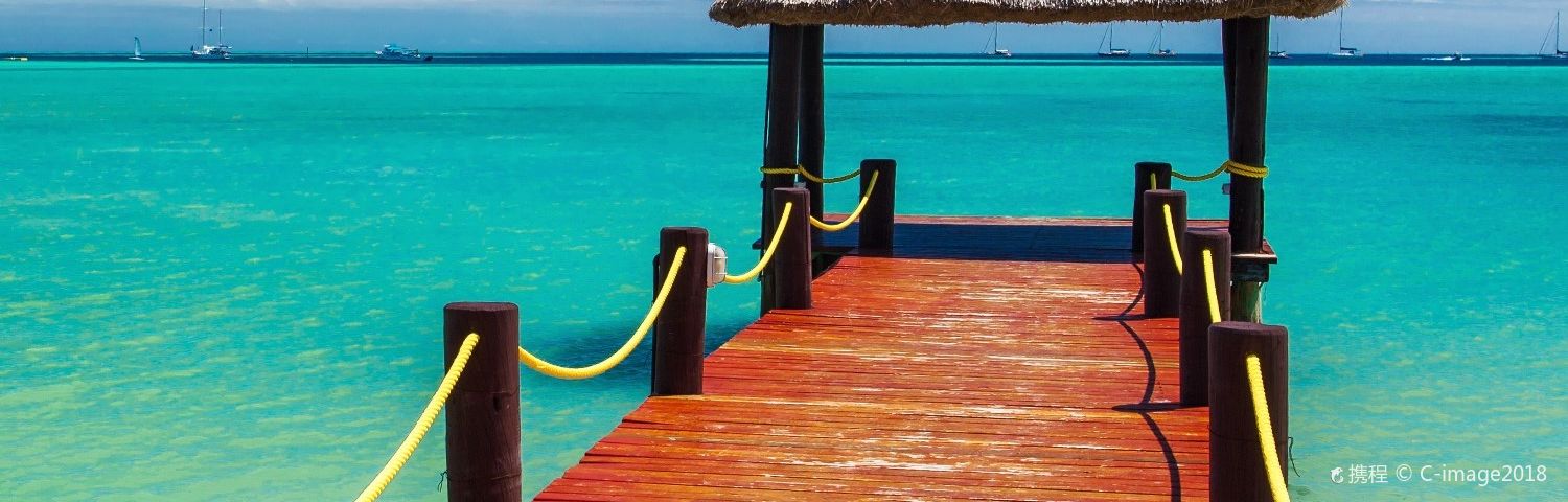 Treasure IslandTours