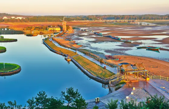 2人起私家團仙螺島鴿子窩公園老虎石一日遊秦皇島唐山上門接送