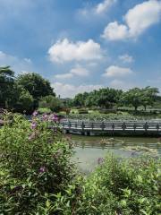 東莞植物園