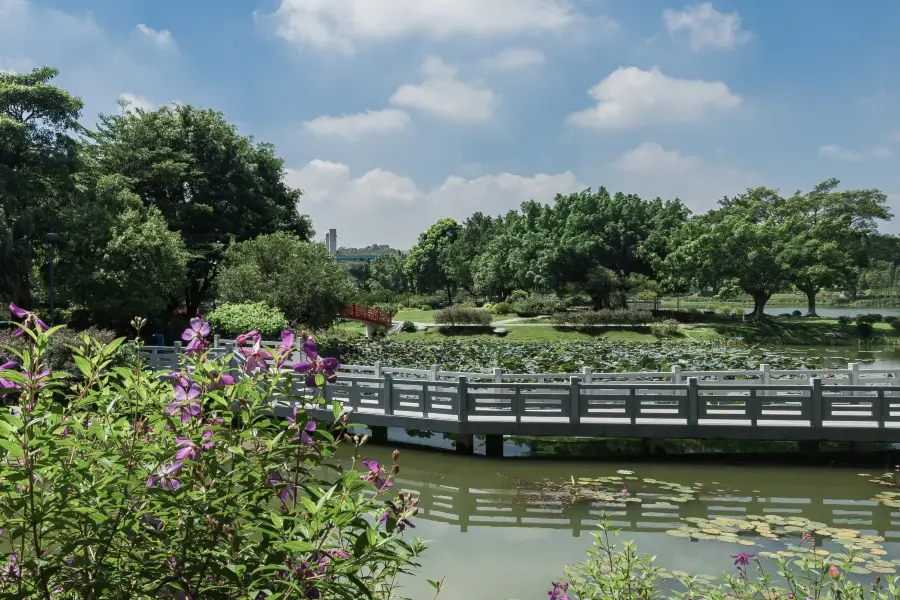 Dongguan Botanical Garden