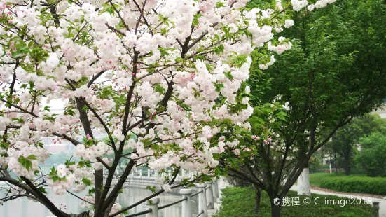 Nanguo Peach Garden