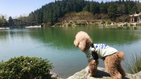 我們在遊覽了四明山國家地質公園之後，就近的，順道打卡了仰天湖