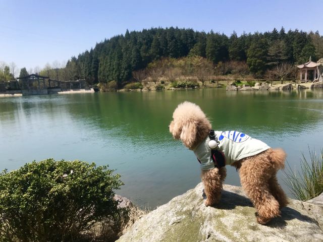 Yangtian Lake Scenic Area
