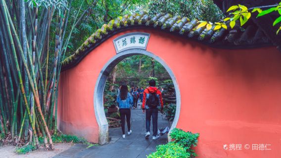 【導覽講解】四川成都三星堆/都江堰/武侯祠/熊貓基地專業導遊小團導覽講解服務(提供耳機+可選獨立團)
