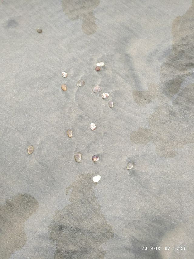 Xiachuan Island Wangfuzhou Tourist Area