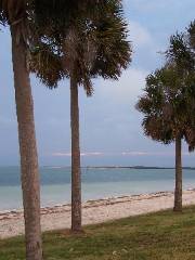 Dunedin Causeway