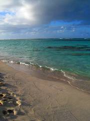 Cow Wreck Beach