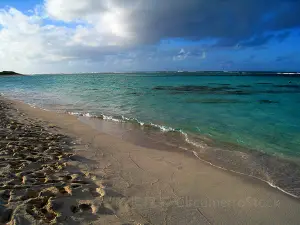 Cow Wreck Beach