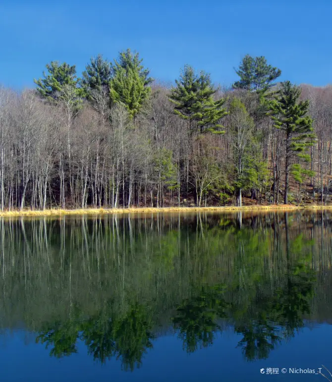 South Canaan Township