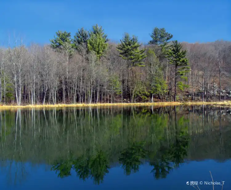 Hotels in South Canaan Township