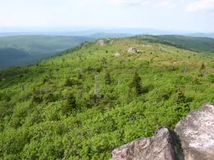 羅傑斯山